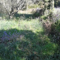 Land plot in Greece, Ionian Islands