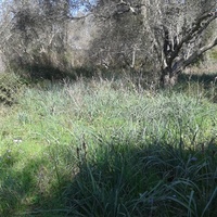 Land plot in Greece, Ionian Islands