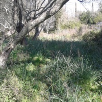 Land plot in Greece, Ionian Islands