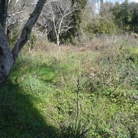 Land plot in Greece, Ionian Islands