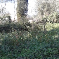 Land plot in Greece, Ionian Islands