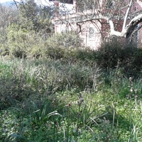 Land plot in Greece, Ionian Islands