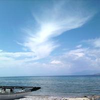 Land plot in Greece, Peloponnese, Kori