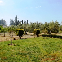 Land plot in Greece, Central Macedonia, Center, 80 sq.m.