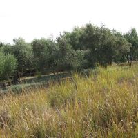 Land plot in Greece, Ionian Islands