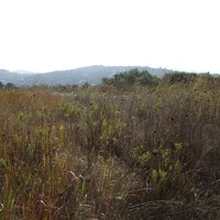 Land plot in Greece, Ionian Islands