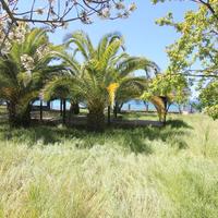 Другое в Греции, Центральная Македония, Центр, 145 кв.м.