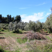 Land plot in Greece, Central Macedonia, Center