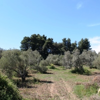 Land plot in Greece, Central Macedonia, Center