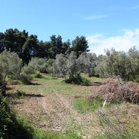 Land plot in Greece, Central Macedonia, Center
