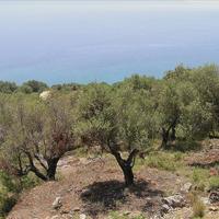 Земельный участок в Греции, Akar