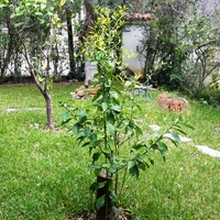 Other in Greece, Central Macedonia, Center, 100 sq.m.