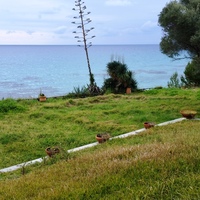 Other in Greece, Central Macedonia, Center, 100 sq.m.