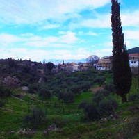 Другое в Греции, Ионические острова, 50 кв.м.