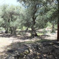 Земельный участок в Греции, Ионические острова