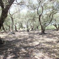 Земельный участок в Греции, Ионические острова