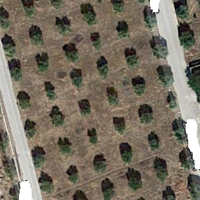 Land plot in Greece, Peloponnese, Kori