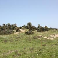 Земельный участок в Греции, Центральная Македония, Центр