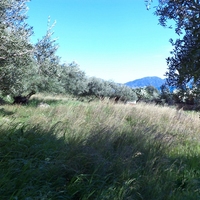 Land plot in Greece, Ionian Islands