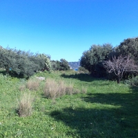 Land plot in Greece, Ionian Islands