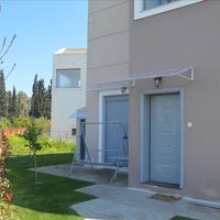 Business center in Greece, Peloponnese, Kori, 500 sq.m.
