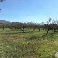 Земельный участок в Греции, Аттика, Афины