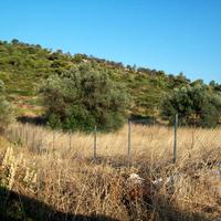 Land plot in Greece, Attica, Athens