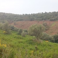 Земельный участок в Греции, Dode