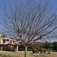 Другое в Греции, Центральная Македония, Центр, 165 кв.м.