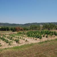 Other in Greece, Central Macedonia, Center, 178 sq.m.