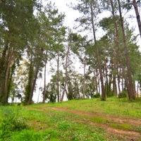 Земельный участок в Греции, Ионические острова