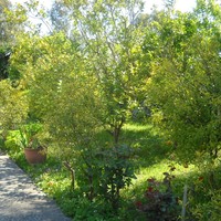 Другое в Греции, Ионические острова, 107 кв.м.