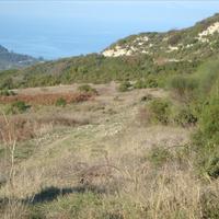 Земельный участок в Греции, Центральная Македония, Центр