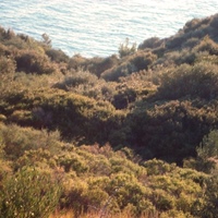 Land plot in Greece, Central Macedonia, Center