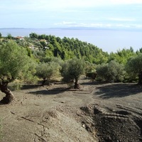 Land plot in Greece, Central Macedonia, Center