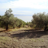 Land plot in Greece, Central Macedonia, Center