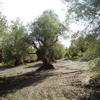 Land plot in Greece, Central Macedonia, Center