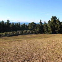 Земельный участок в Греции, Центральная Македония, Центр