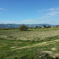 Land plot in Greece, Ionian Islands, Zakynthos, 120000 sq.m.