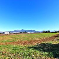 Земельный участок в Греции, Центральная Македония, Центр, 12750 кв.м.