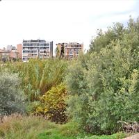 Land plot in Greece, Attica, Athens