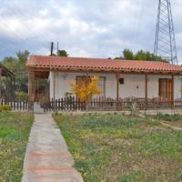 Other in Greece, Peloponnese, Kori, 65 sq.m.