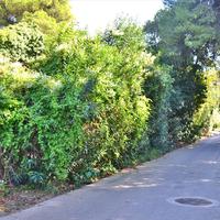 Other in Greece, Attica, Athens, 350 sq.m.