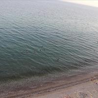 Земельный участок в Греции, Центральная Македония, Центр, 3600 кв.м.