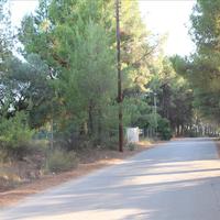 Земельный участок в Греции, Центральная Македония, Центр, 3600 кв.м.