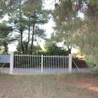 Земельный участок в Греции, Центральная Македония, Центр, 3600 кв.м.