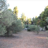 Земельный участок в Греции, Центральная Македония, Центр, 3600 кв.м.