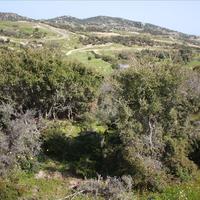 Земельный участок в Греции, Центральная Македония, Центр