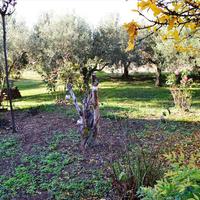 Другое в Греции, Центральная Македония, Центр, 190 кв.м.