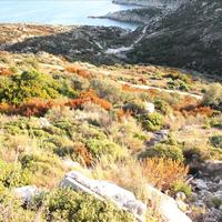 Land plot in Greece, Central Macedonia, Center
